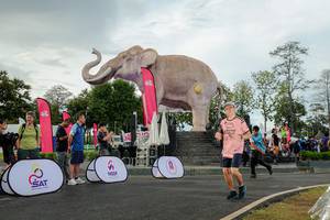 BIB: 
                            <button type="button" onclick="openModal(26528356)" class="btn btn-primary btn-sm float-right btn-popup" data-toggle="modal" data-target=".modal-high-quality">
                        <i class="fas fa-shopping-cart"></i> Add to Cart
                    </button>
                                            <button type="button" onclick="isThisMe(26528356, true)" class="btn btn-success btn-sm float-right btn-popup btn-isme hidden" data-toggle="tooltip" data-placement="bottom" title="นี่คือรูปของคุณใช่ไหม คลิกที่นี่เพื่อเอาเข้าอัลบั้ม">
                        <i class="fas fa-plus"></i> Add to album
                    </button>
                    <button type="button" onclick="isThisMe(26528356, false)" class="btn btn-warning btn-sm float-right btn-popup btn-isnotme hidden">
                        <i class="fas fa-ban"></i> Remove from album
                    </button>